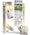 Owca Eugy. Eko Układanka 3D - tantis.pl