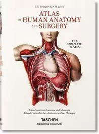 Atlas of Human Anatomy and Surgery - tantis.pl