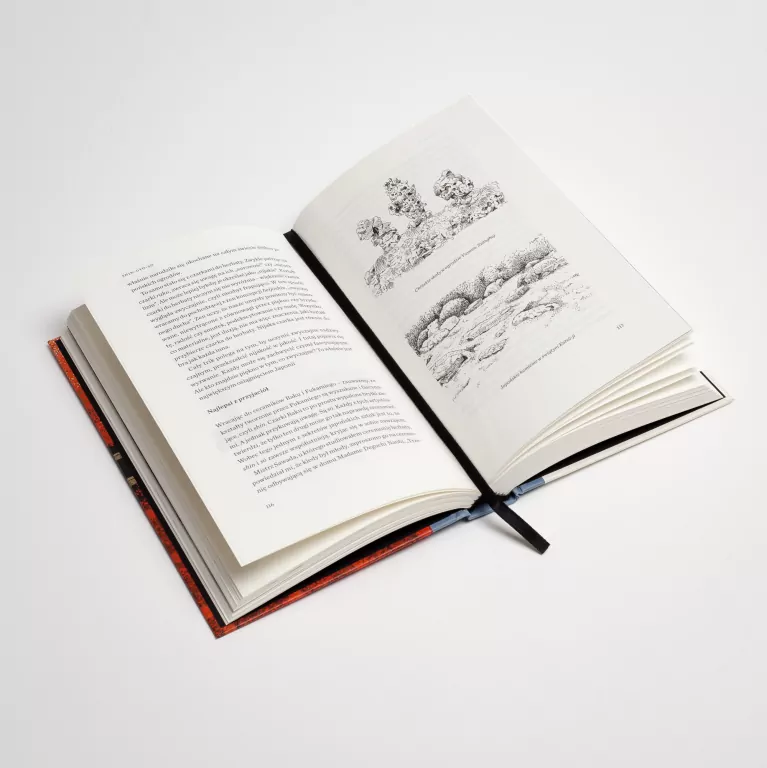 Inne Kioto - tantis.pl