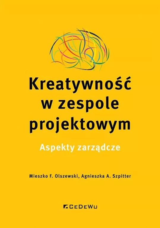 Kreatywność w zespole projektowym - tantis.pl