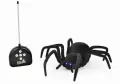 Pająk R/C ze świecącymi oczami - tantis.pl