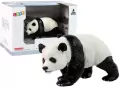 Panda Wielka - tantis.pl