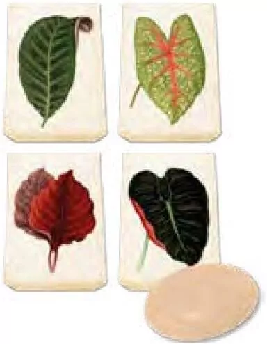 Mydełko ozdobne zapach brzoskwini - tantis.pl