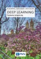 Deep Learning. Współczesne systemy uczące się - tantis.pl