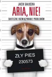 Aria, nie! Skuteczne rozwiązywanie problemów