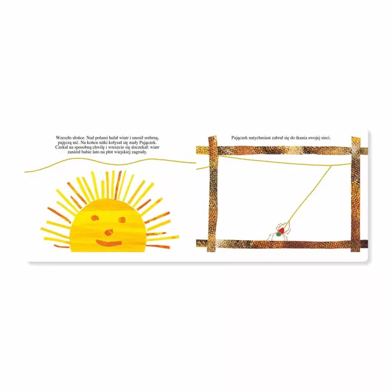 Pajączek - tantis.pl