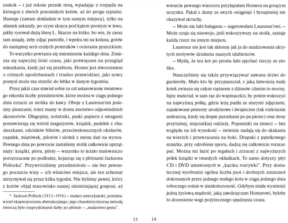 Odyseja kota imieniem Homer - tantis.pl