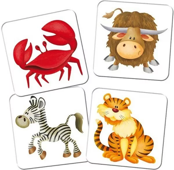 ZOO memory. Kuferek pełen gier - tantis.pl