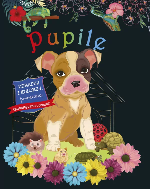 Zdrapuj i koloruj. Pupile - tantis.pl