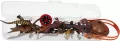 PROJEKTOR B/O AKC ZWIERZ 7X31X5 MIX6 DIS12/48/96 - tantis.pl