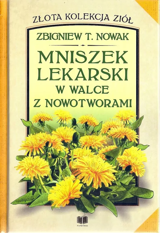 Mniszek lekarski w walce z nowotworami - tantis.pl