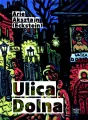 Ulica Dolna - tantis.pl