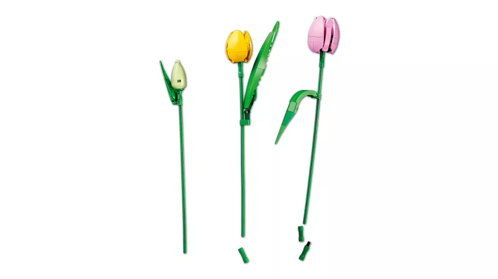 LEGO®. Botanical Collection. Bukiet tulipanów. 11501 - tantis.pl