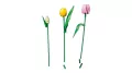 LEGO®. Botanical Collection. Bukiet tulipanów. 11501 - tantis.pl