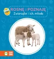 Rosnę i poznaję. Zwierzęta i ich młode - tantis.pl