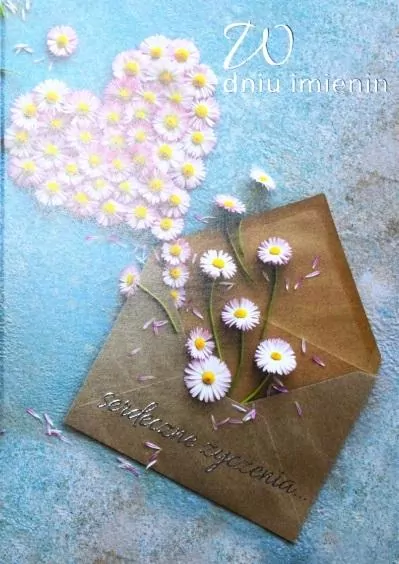 Kartka okolicznościowa Imieniny TS76 - tantis.pl