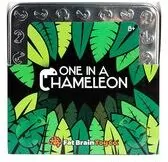 Kameleony. Łamigłówka Magnetyczna - tantis.pl