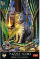 Puzzle 1000. Księga Cieni - tantis.pl