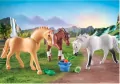 3 konie: Morgan, Quarter Horse i Angloarab Shagya. World of Horses 71356 - tantis.pl