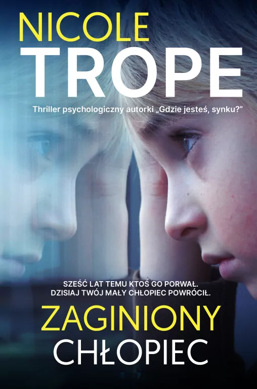 Zaginiony chłopiec - tantis.pl