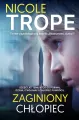 Zaginiony chłopiec - tantis.pl