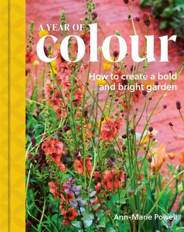 A Year of Colour - tantis.pl