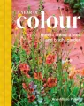 A Year of Colour - tantis.pl