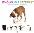 Szkółka dla szczeniąt - tantis.pl
