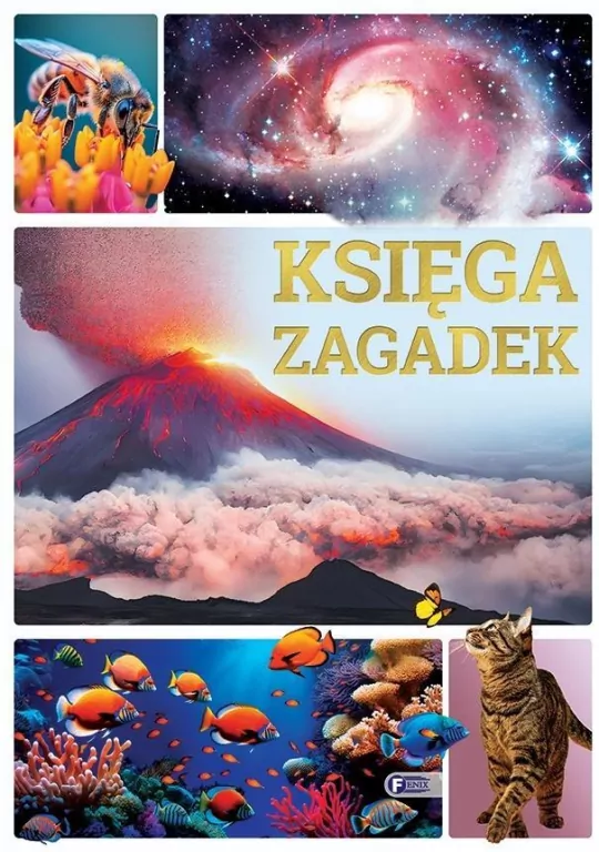 Księga zagadek - tantis.pl