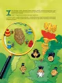 Imperium smoka. Asteriks - tantis.pl