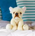 Pluszowy Buldog francuski - tantis.pl