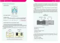 Chemia. Repetytorium. Liceum/technikum wyd. 2026 - tantis.pl