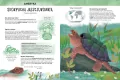 Zadziwiające zwierzęta świata. Atlas bioróżnorodności - tantis.pl