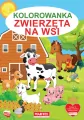 Zwierzęta na wsi. Kolorowanka - tantis.pl