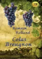 Colas Breugnon audiobook - tantis.pl