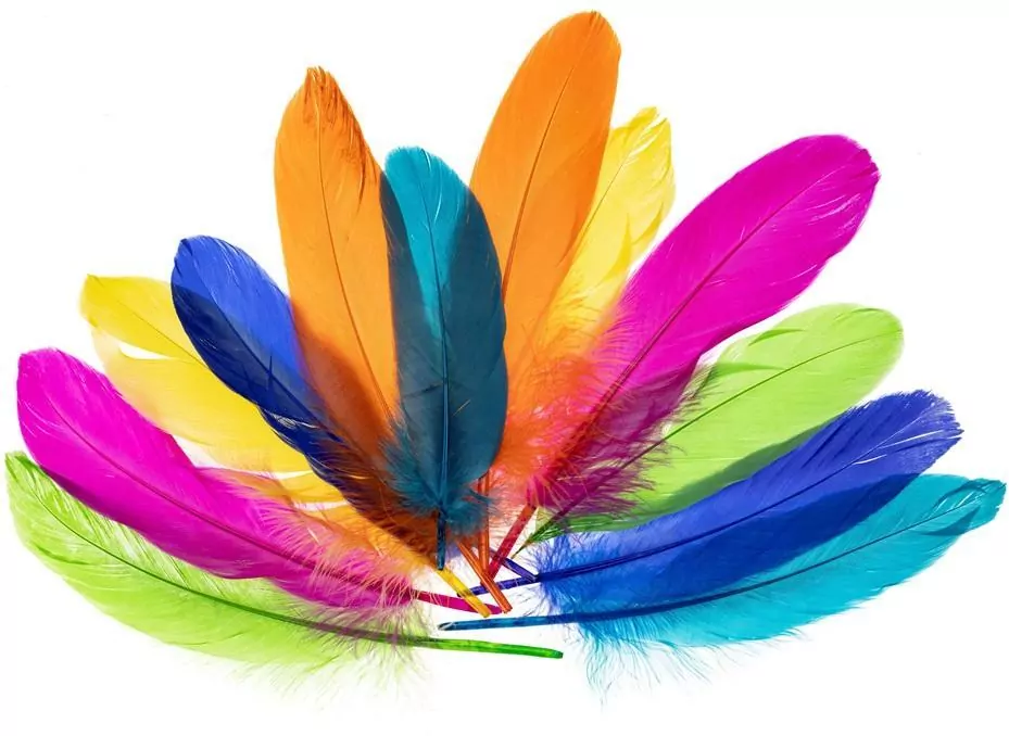 Piórka gęsie nenowy 15-20cm - tantis.pl