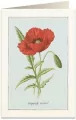 Karnet B6 + koperta. Mak. 6020 - tantis.pl