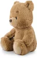 Miś miodowy 22cm - tantis.pl