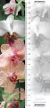 Zakładka 3D. Orchidea - tantis.pl