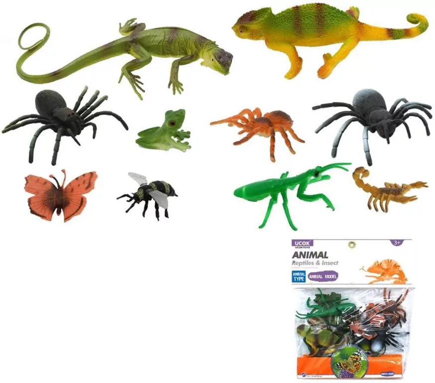 Owady i gady - tantis.pl