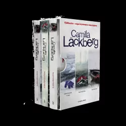 Pakiet: Księżniczka z lodu / Kaznodzieja / Kamieniarz