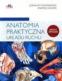 Anatomia praktyczna układu ruchu. Ćwiczenia - tantis.pl