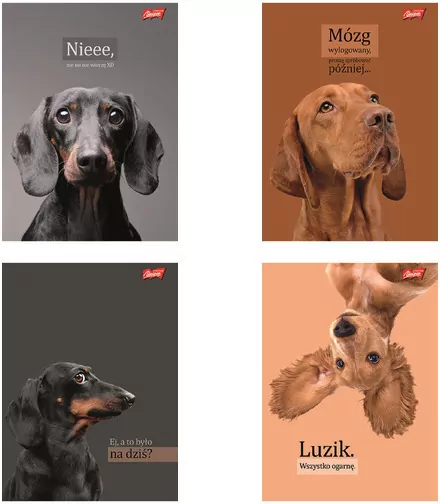 Zeszyt A4/60K kratka Doggy Moods (10szt) - tantis.pl