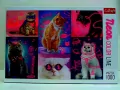Puzzle 1000. Neon Color Line. Super cats - tantis.pl