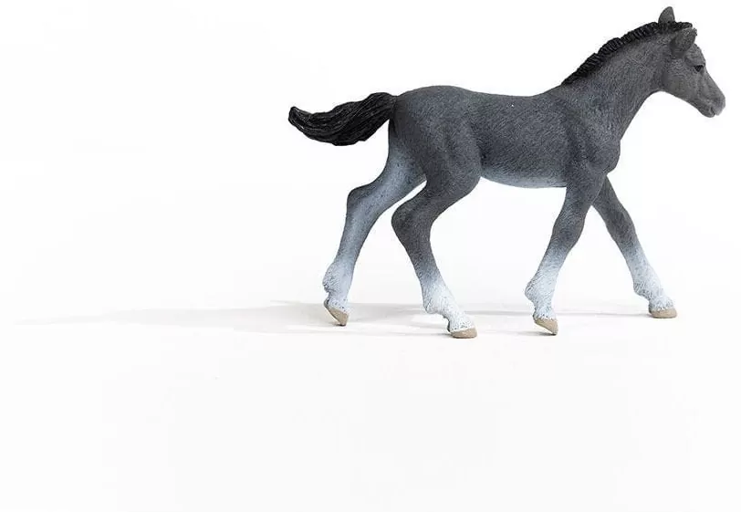 Źrebię trakeńskie 13944 - tantis.pl