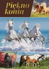 Piękno konia - tantis.pl