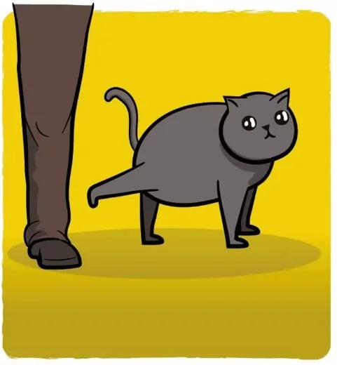 Frywolne Kotki. Eksplodujące Kotki. 15 dodatkowych kart - tantis.pl