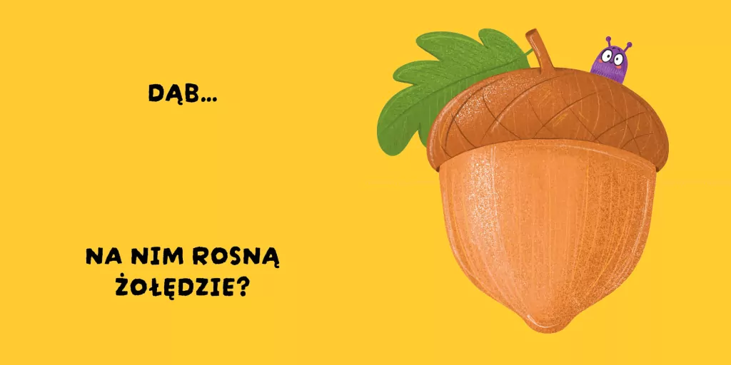 Czy to pasuje? Rośliny - tantis.pl