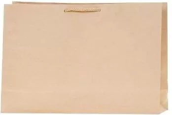 Torebka kraft 90g 37x25x11cm horyzontalna ROZETTE - tantis.pl