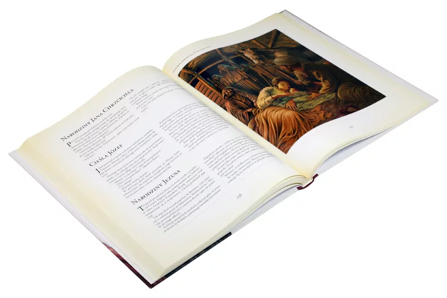 Biblia. Ilustrowane historie ze Starego i Nowego Testamentu - tantis.pl